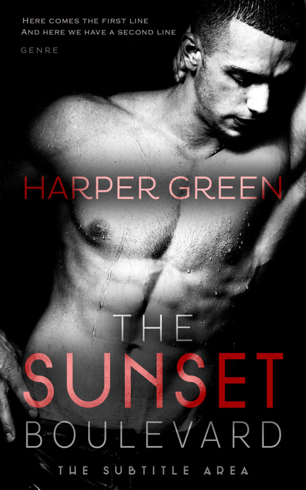 Front view of Pink Swan #6969 - Premade Erotica Book Cover