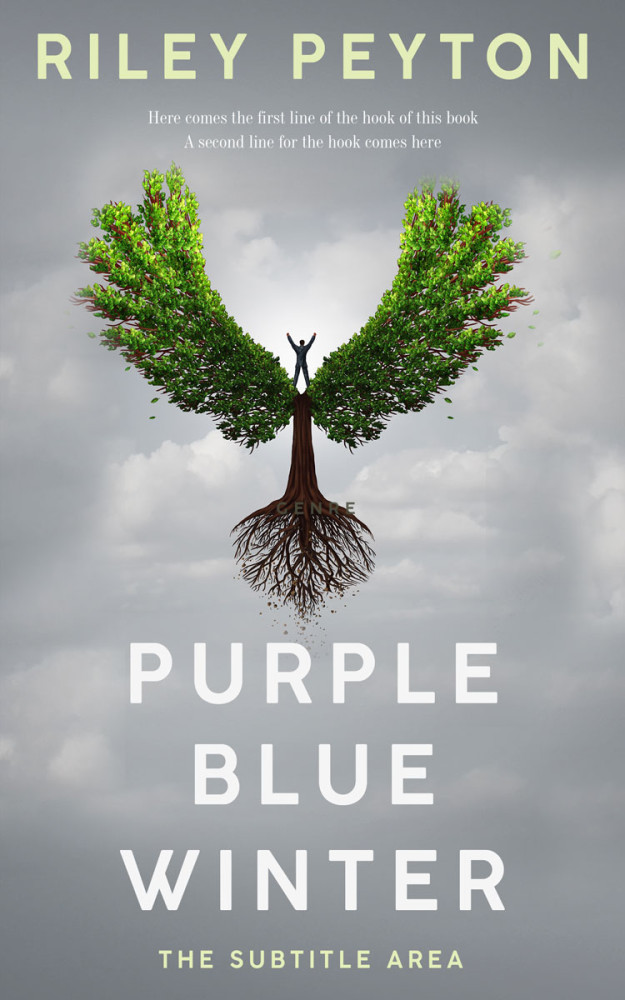 Front view of Gray Chateau #7443 - Premade Self-Improvement & Self-Help Book Cover