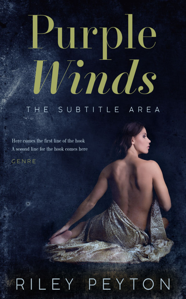 Front view of Mirage #7458 - Premade Erotica Book Cover