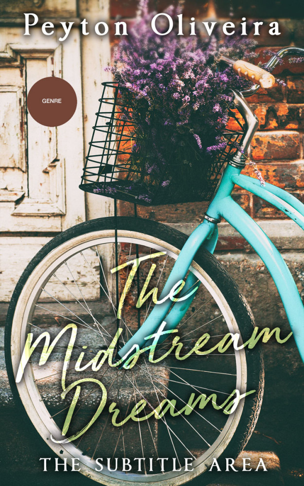 Front view of Bone #8053 - Premade Literary Fiction Book Cover