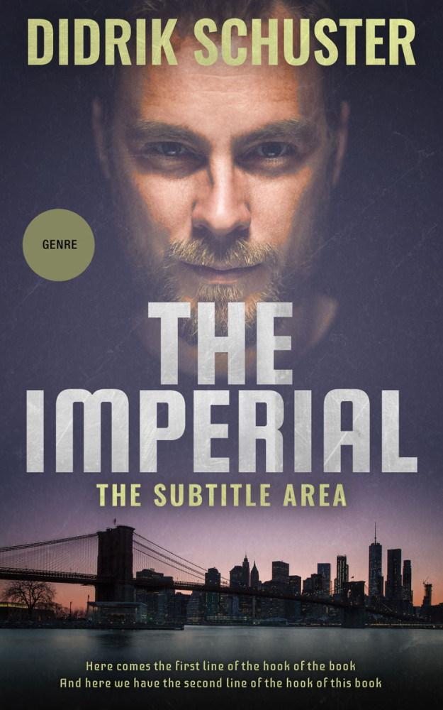 Front view of Ship Gray #8647 - Premade Mystery & Thriller & Suspense Book Cover