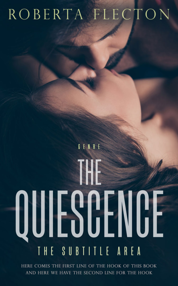 Front view of Big Stone #9415 - Premade Erotica Book Cover | BookCoverZone