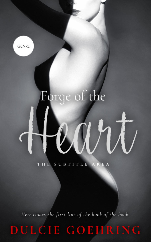 Front view of Ship Gray #10108 - Premade Erotica Book Cover