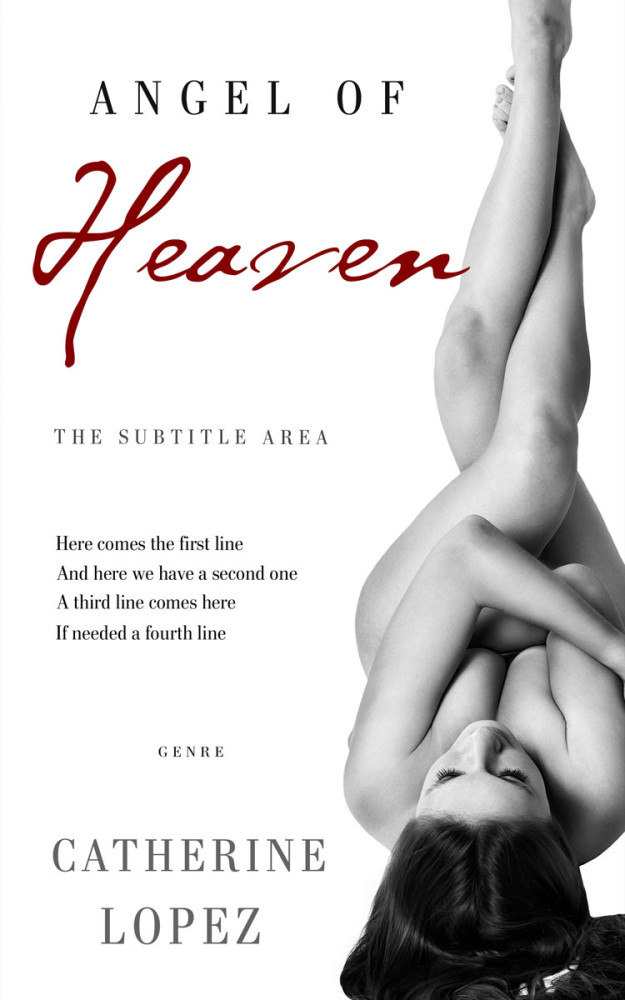 Front view of Silver #10225 - Premade Erotica Book Cover | BookCoverZone