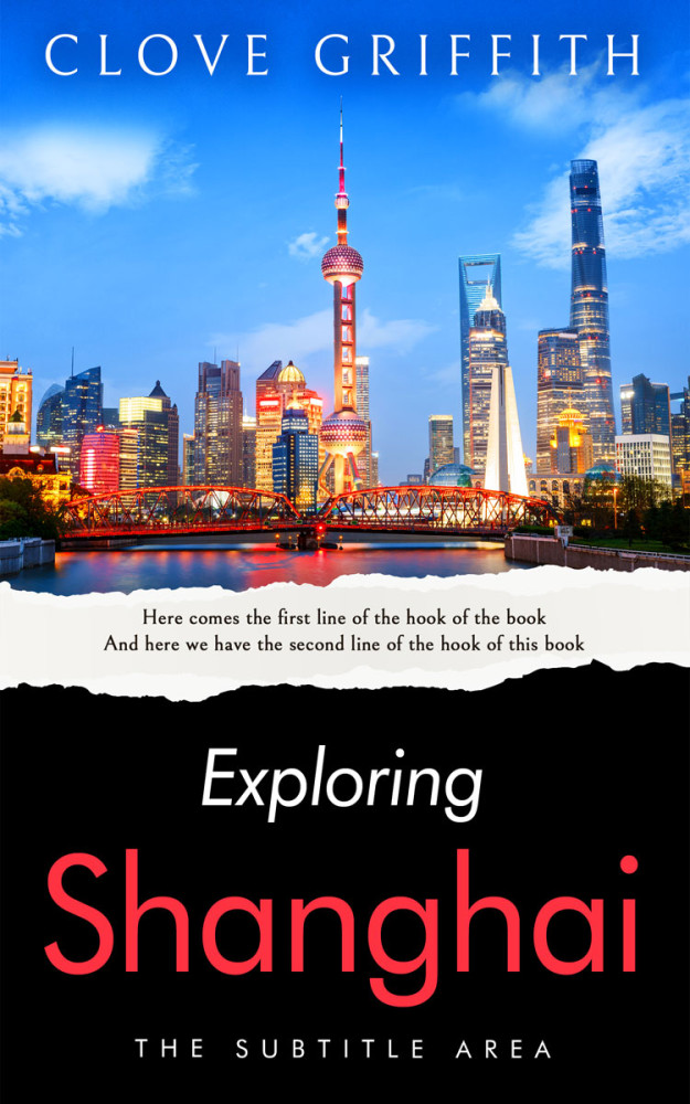 Front view of Cod Gray #10340 - Premade Travel Book Cover | BookCoverZone