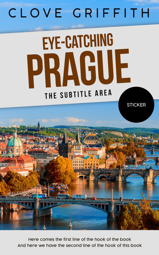 Front view of Alto #10343 - Premade Travel Book Cover