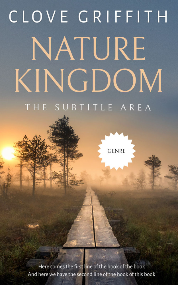 Front view of Rolling Stone #10363 - Premade Nature Book Cover | BookCoverZone
