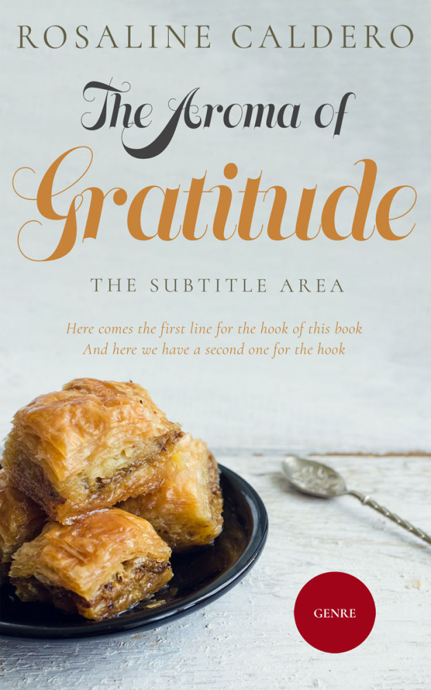 Front view of Conch #10591 - Premade Travel Book Cover