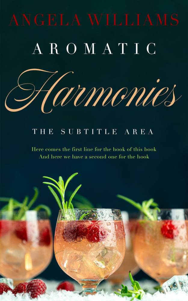 Front view of Firefly #10626 - Premade Travel Book Cover