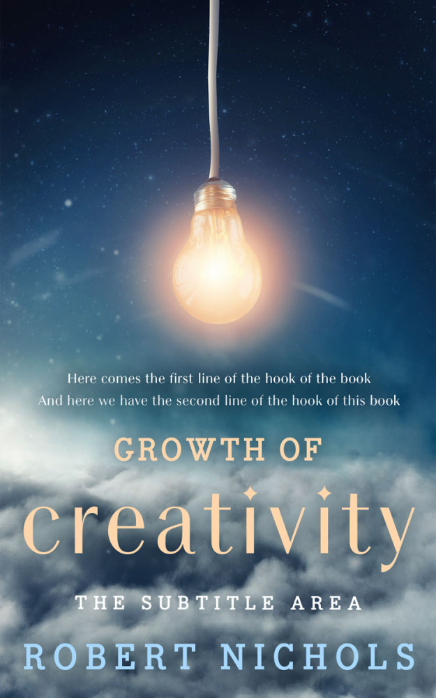 Front view of Blue Bayoux #10731 - Premade Business Book Cover