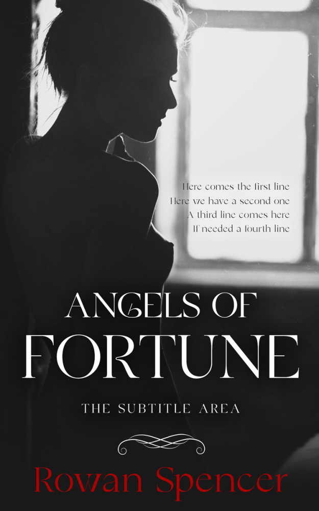 Front view of Mine Shaft #11315 - Premade Erotica Book Cover