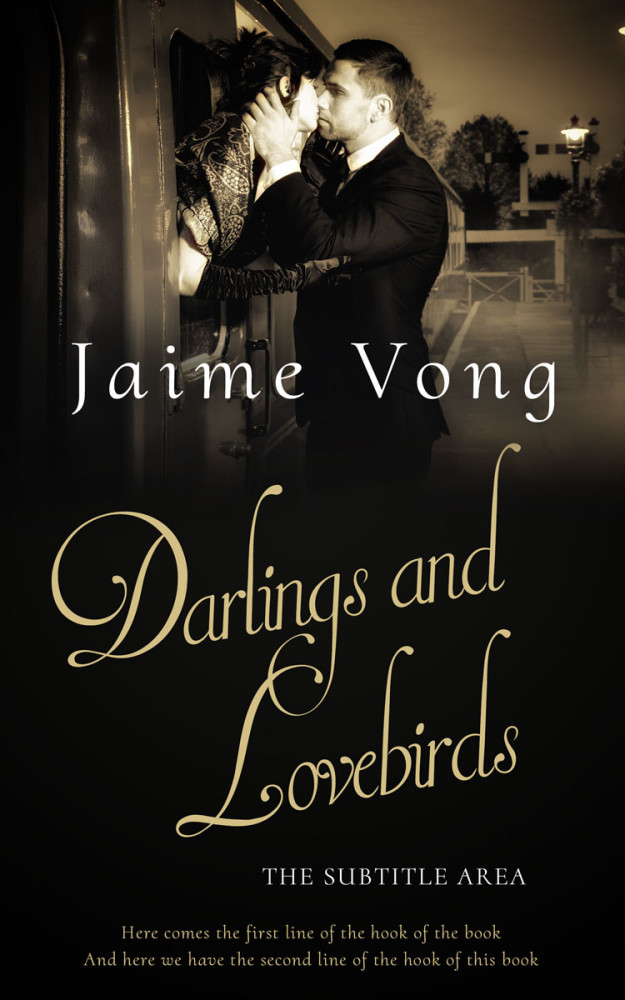 Front view of Cod Gray #11348 - Premade Romance Book Cover