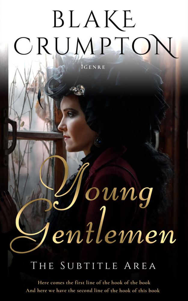 Front view of Silk #11846 - Premade Historical Book Cover