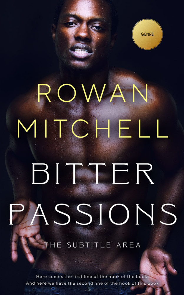 Front view of Bastille #11943 - Premade Erotica Book Cover