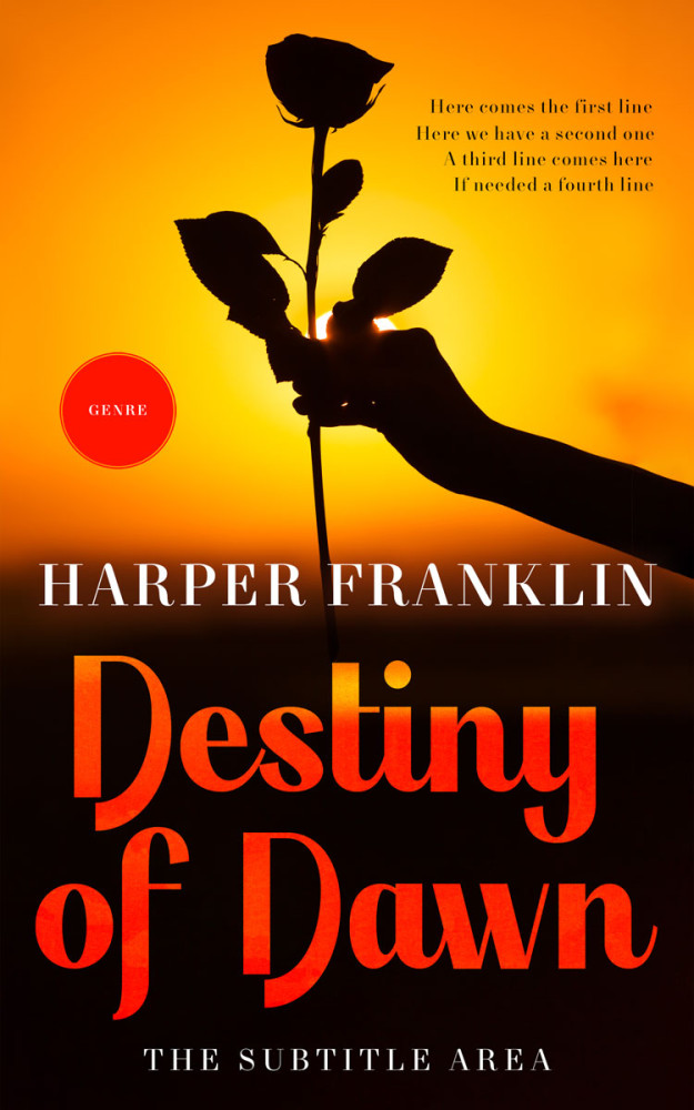 Front view of California #12783 - Premade Erotica Book Cover