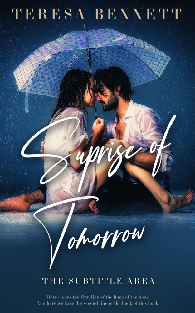 Front view of Big Stone #12812 - Premade Erotica Book Cover