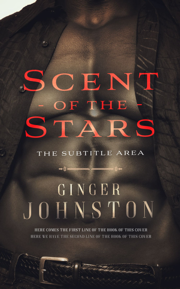 Front view of Dune #13073 - Premade Erotica Book Cover