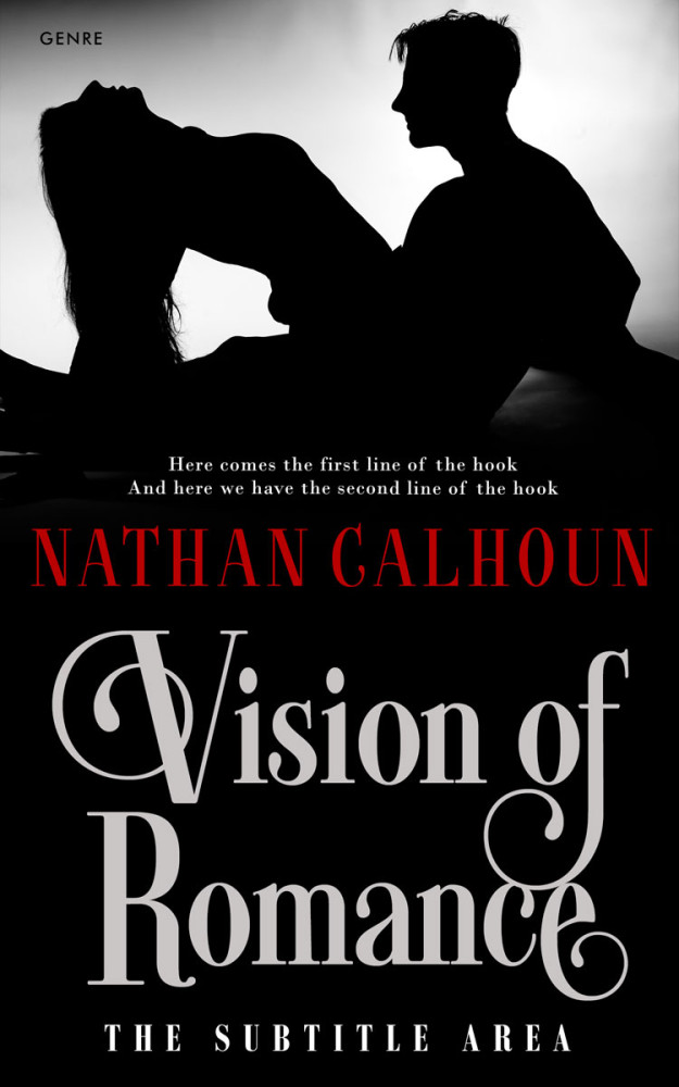 Front view of Cod Gray #13307 - Premade Erotica Book Cover