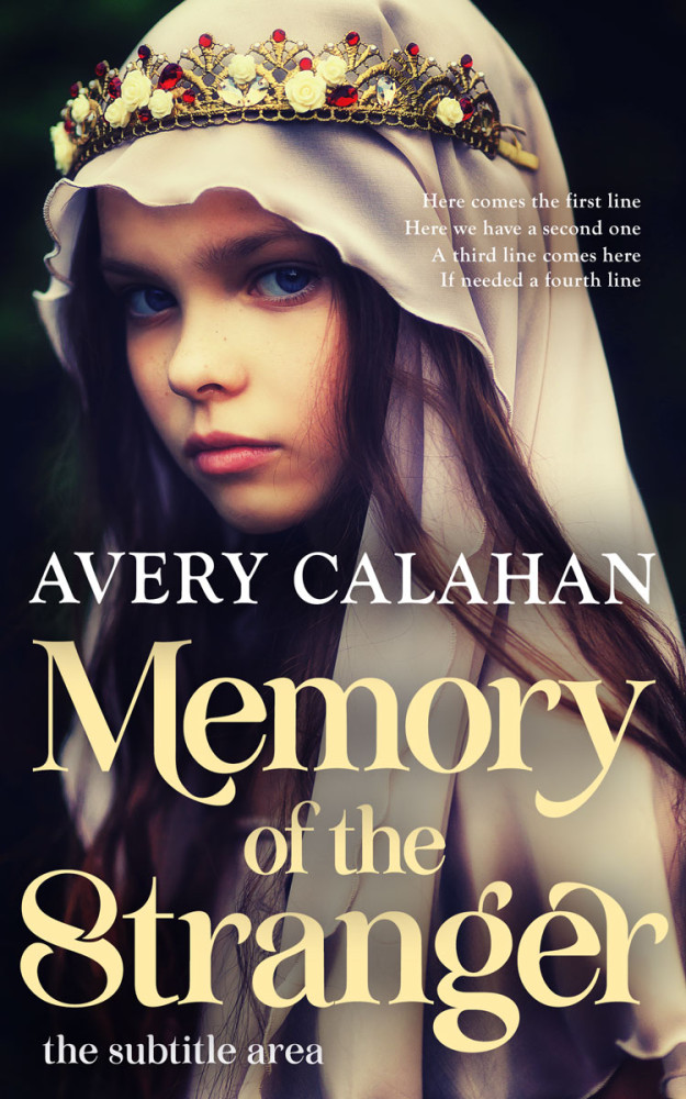 Front view of Sapling #13708 - Premade Historical Book Cover