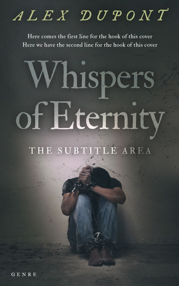 Front view of Cape Cod #14636 - Premade Politics & Law & Society Book Cover