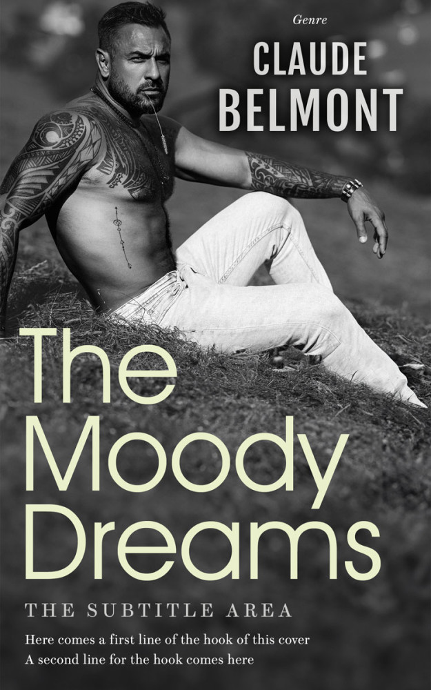 Front view of Mine Shaft #16291 - Premade Erotica Book Cover