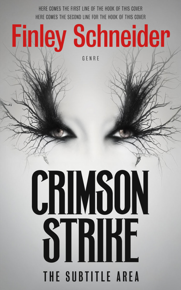 Front view of Gray Nickel #16716 - Premade Fantasy Book Cover