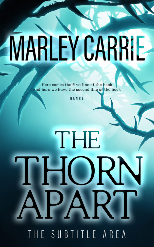 Front view of Firefly #20395 - Premade Fantasy Book Cover