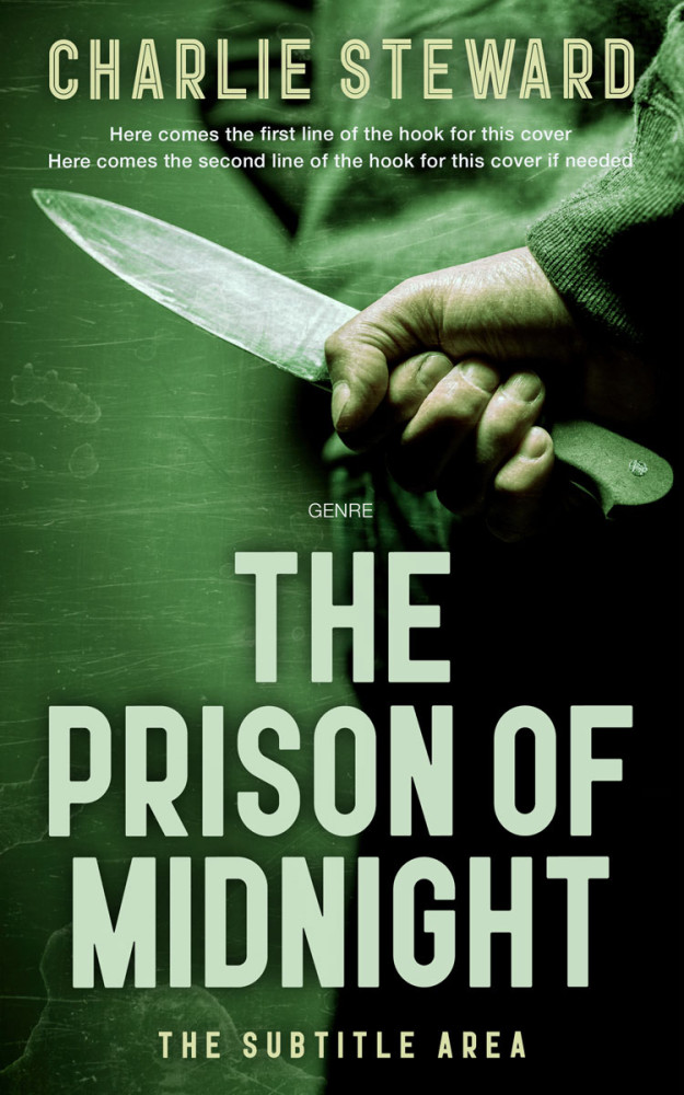 Front view of Mallard #20913 - Premade Mystery & Thriller & Suspense Book Cover | BookCoverZone