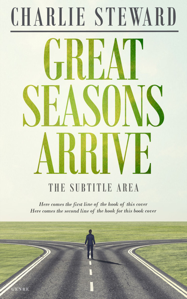 Front view of Kidnapper #20937 - Premade Self-Improvement & Self-Help Book Cover