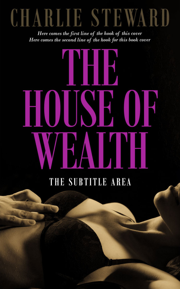 Front view of Tapestry #20944 - Premade Erotica Book Cover