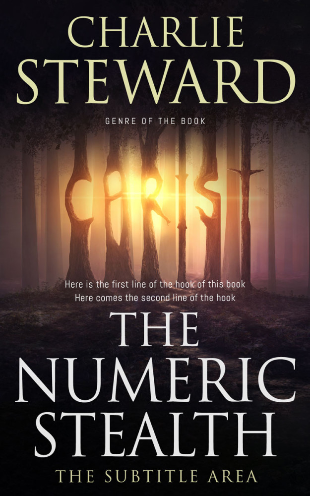 Front view of Straw #20986 - Premade Religion & Spirituality Book Cover | BookCoverZone