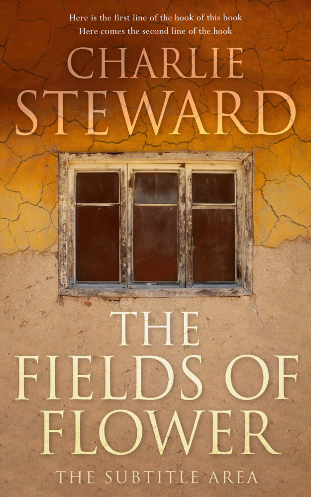 Front view of Driftwood #21004 - Premade Literary Fiction Book Cover