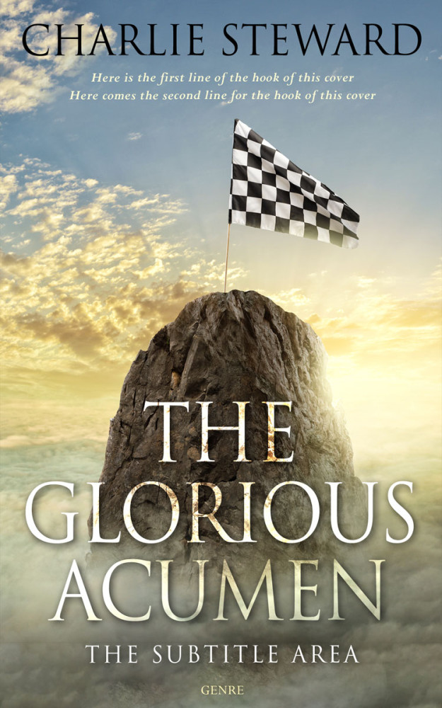 Front view of Stack #21013 - Premade Business Book Cover