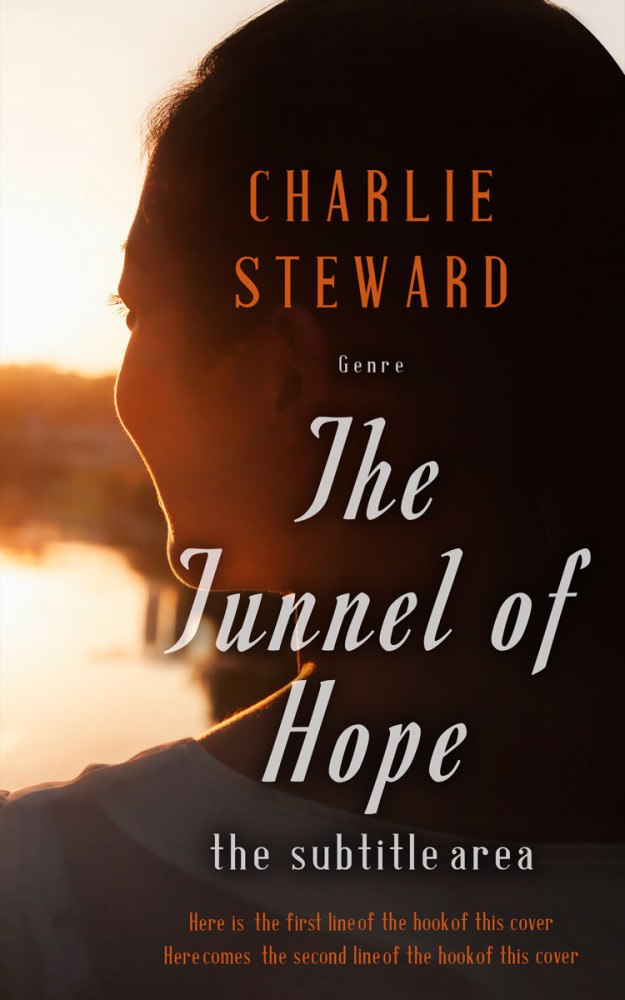 Front view of Hampton #21256 - Premade Literary Fiction Book Cover