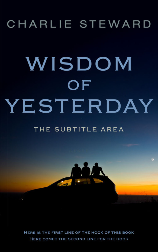 Front view of Ebony #21313 - Premade Travel Book Cover