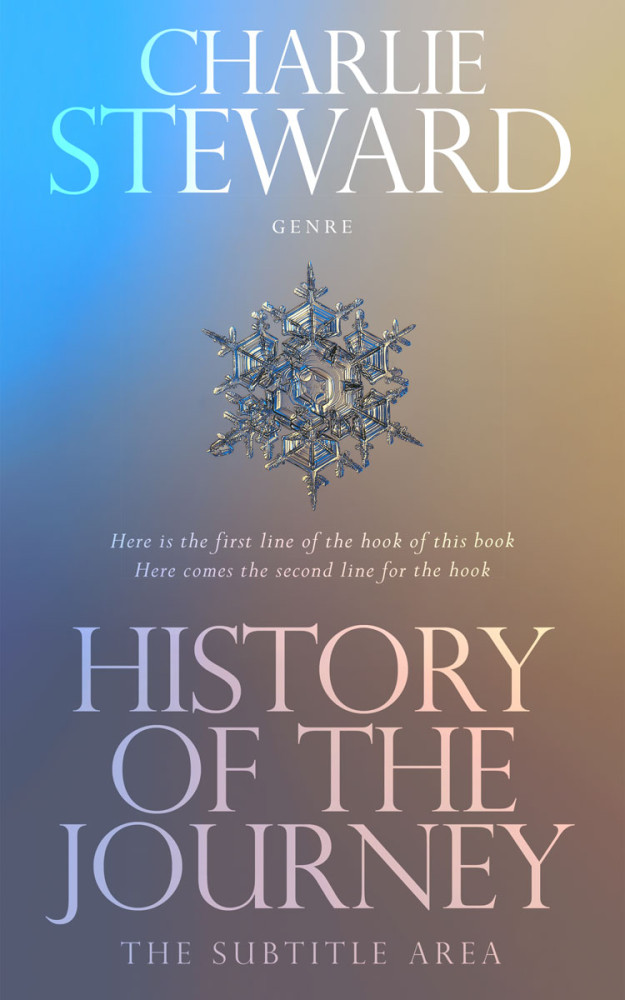 Front view of Boulder #21354 - Premade Abstract Book Cover