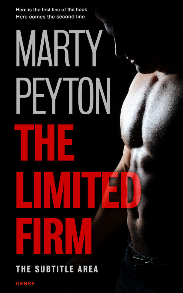 Front view of Cod Gray #21616 - Premade Mystery & Thriller & Suspense Book Cover