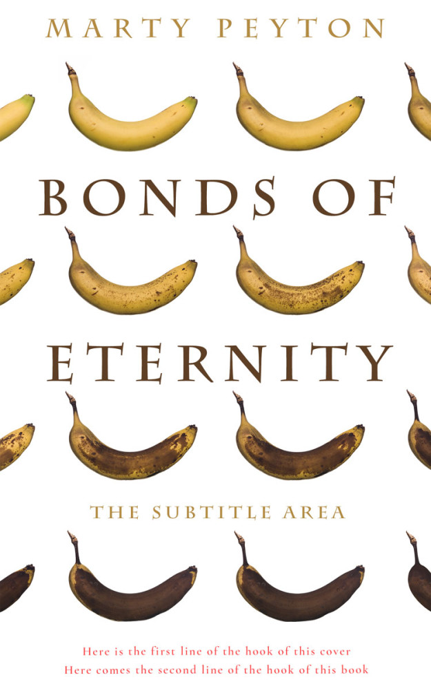 Front view of Quincy #21726 - Premade Literary Fiction Book Cover