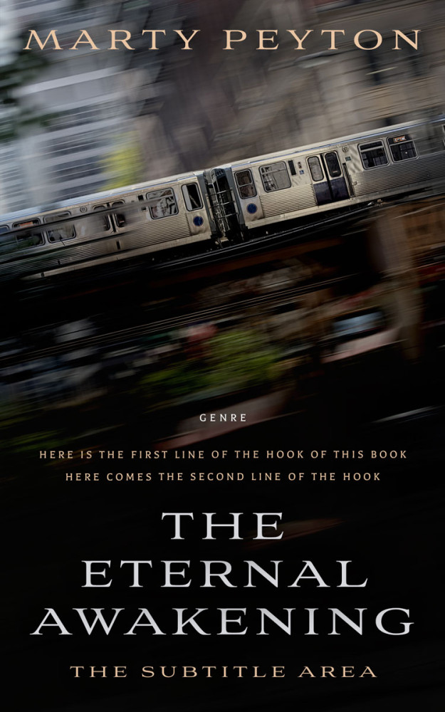 Front view of Cod Gray #21810 - Premade Mystery & Thriller & Suspense Book Cover