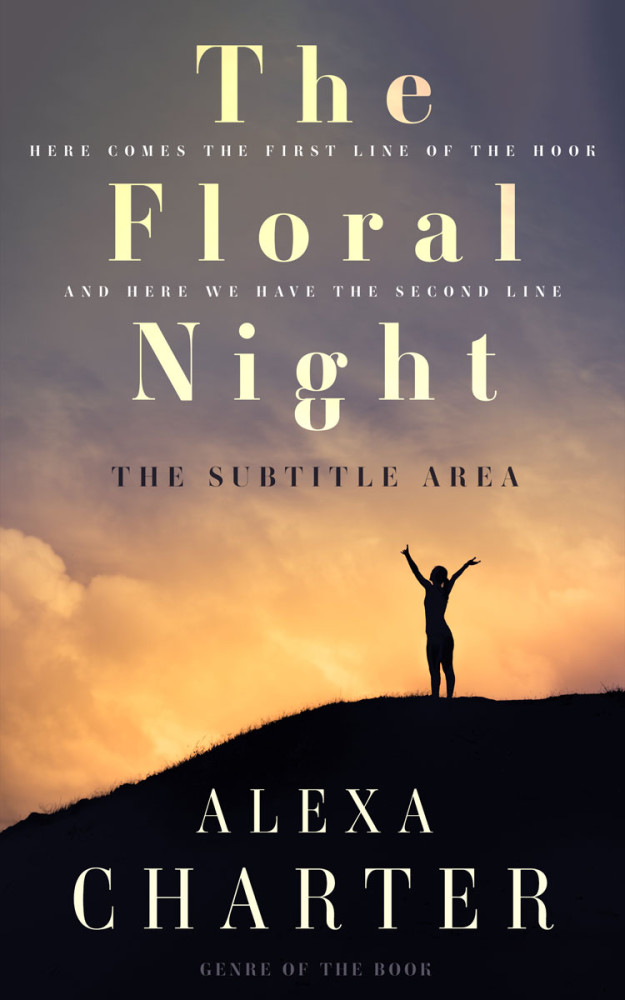 Front view of Ship Gray #21859 - Premade Self-Improvement & Self-Help Book Cover | BookCoverZone