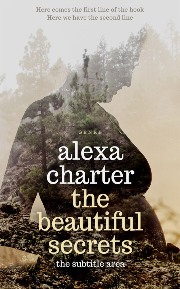 Front view of Sisal #22193 - Premade Family & Parenting Book Cover