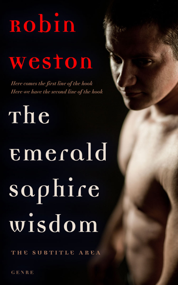 Front view of Oriental Pink #22465 - Premade Erotica Book Cover