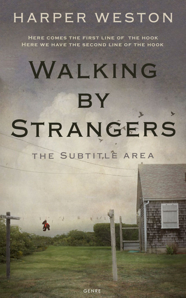 Front view of Flint #22775 - Premade Literary Fiction Book Cover | BookCoverZone