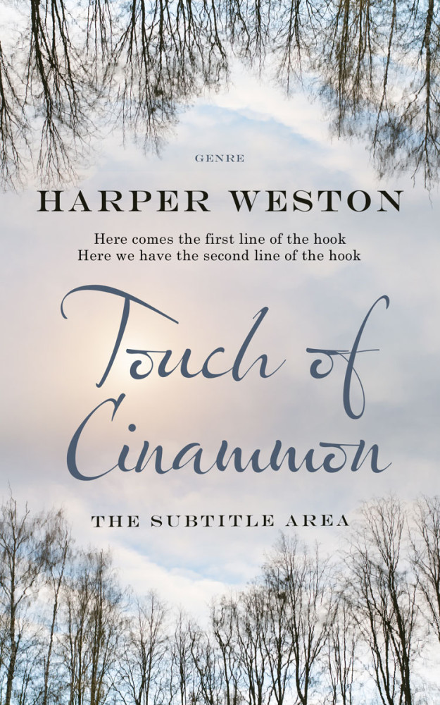 Front view of Pale Slate #22872 - Premade Abstract Book Cover