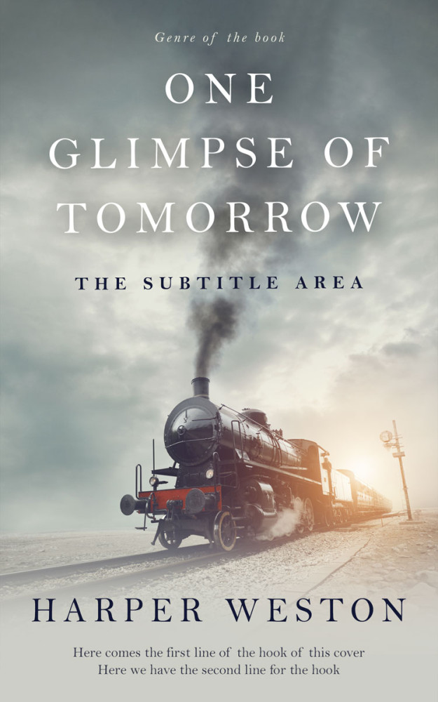 Front view of Mist Gray #22943 - Premade Historical Book Cover | BookCoverZone