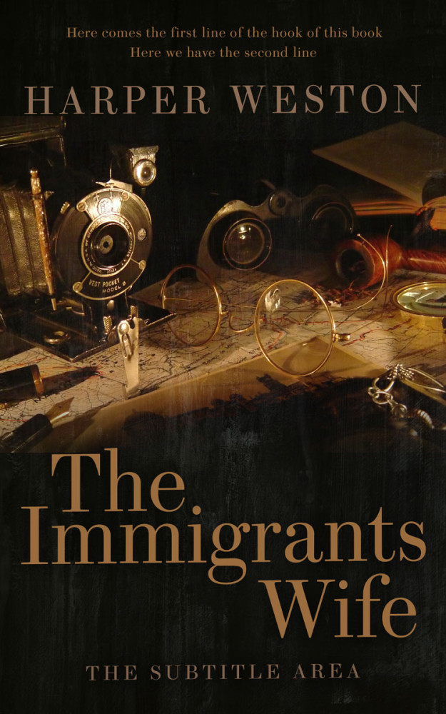 Front view of Driftwood #23091 - Premade Historical Book Cover