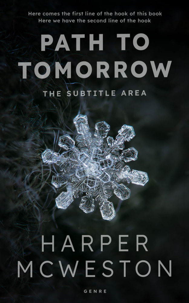 Front view of Woodsmoke #23205 - Premade Abstract Book Cover | BookCoverZone