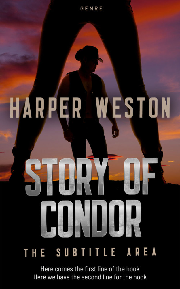 Front view of Gondola #23479 - Premade Romance Book Cover