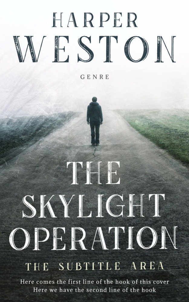 Front view of Cape Cod #23809 - Premade Literary Fiction Book Cover