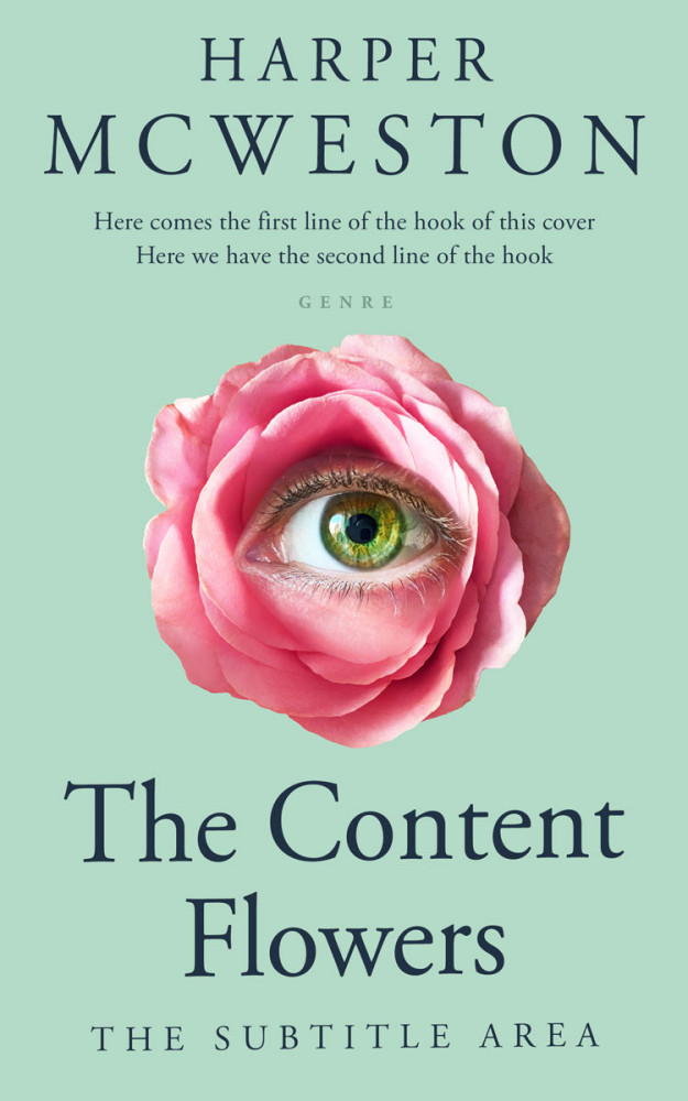 Front view of Surf #23838 - Premade Romance Book Cover